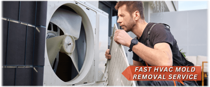 HVAC Mold Removal Corona CA